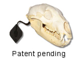 Patent pending