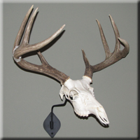 Al Semeniuk - whitetail 2009