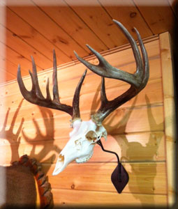 Bryant Bowman - whitetail