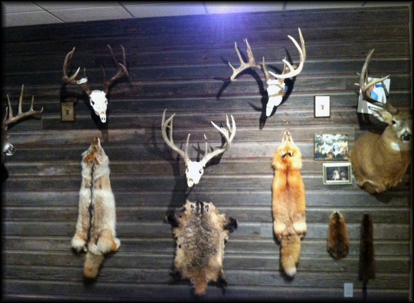 Marc Saleski - Whitetails