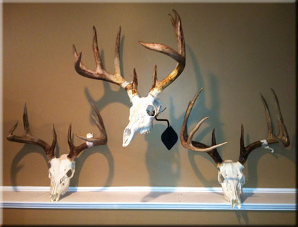 Richard Kropelnicky Whitetails