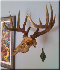 Rory Leishman - whitetail